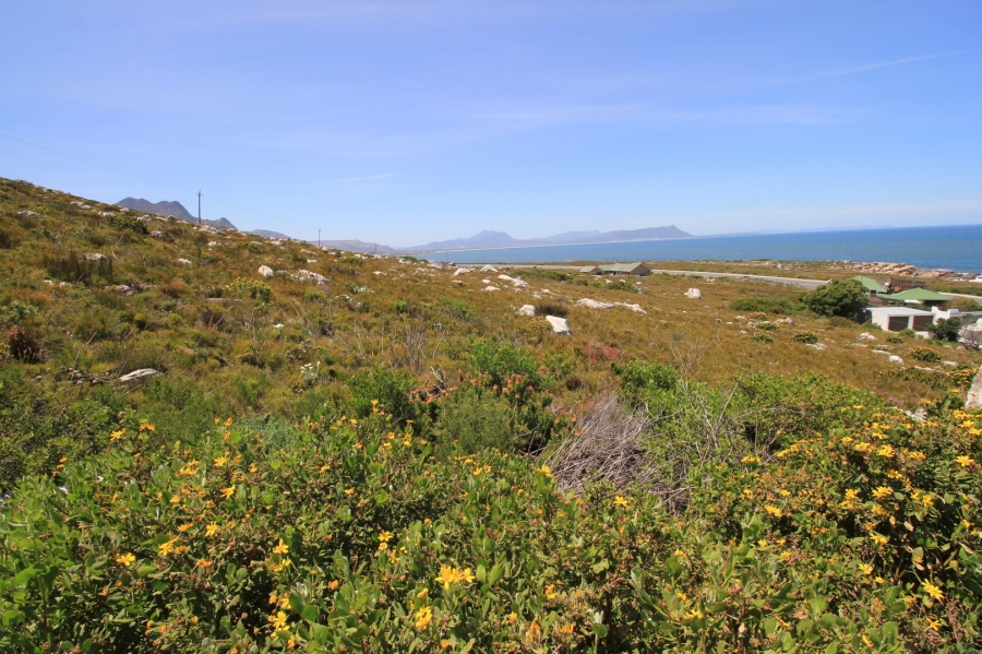 0 Bedroom Property for Sale in Bettys Bay Western Cape